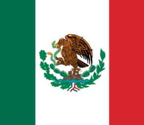 Flag MX